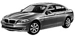 BMW F10 P1A10 Fault Code