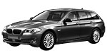 BMW F11 P1A10 Fault Code